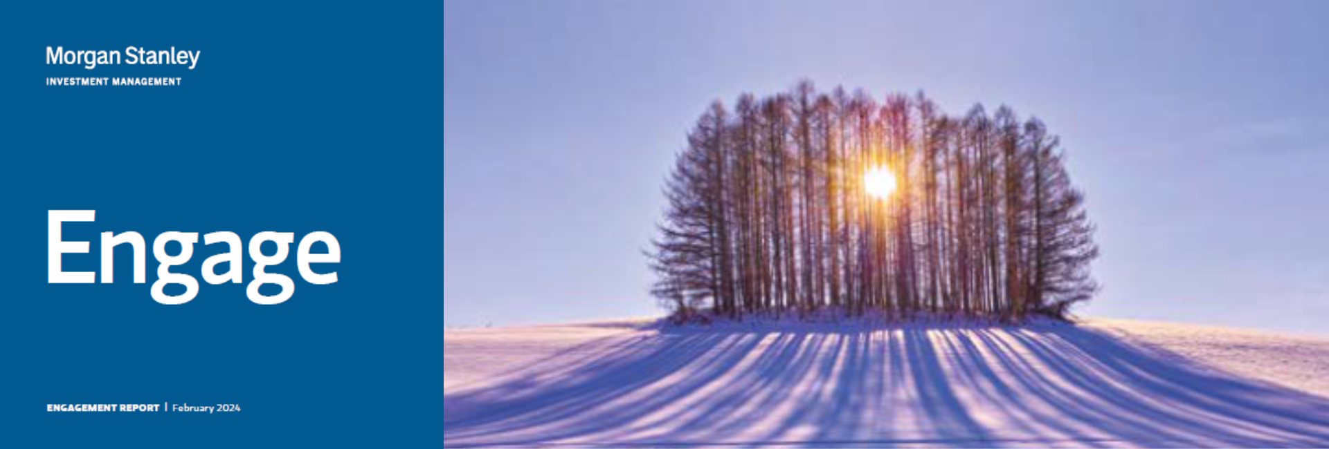 Morgan Stanley Engage Report: Proxy Voting