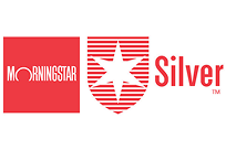 morningstar silver